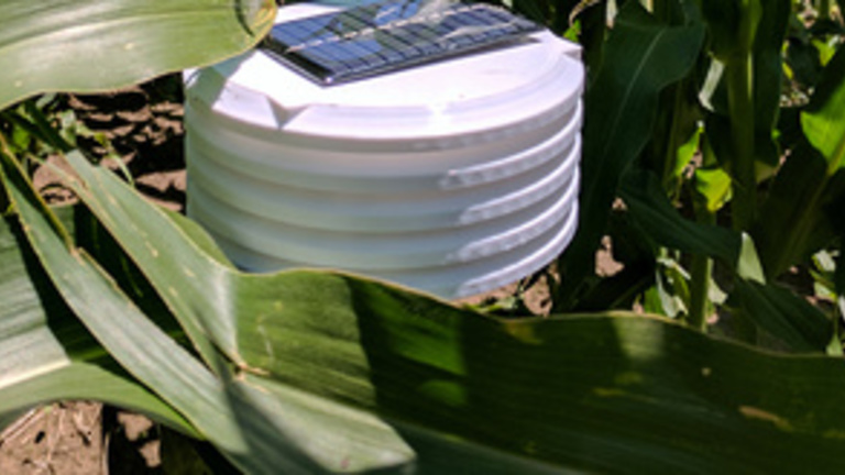 A sensor sitting in a corn field